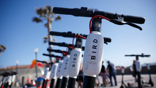 Bird Scooters Looking For Several Hundred Million More Dollars to Piss Away